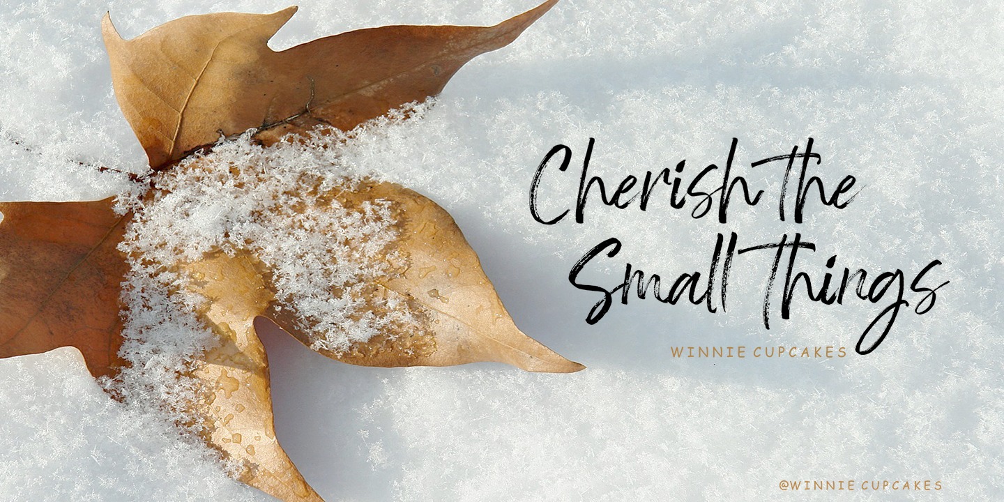 Hello Freshtea Brush